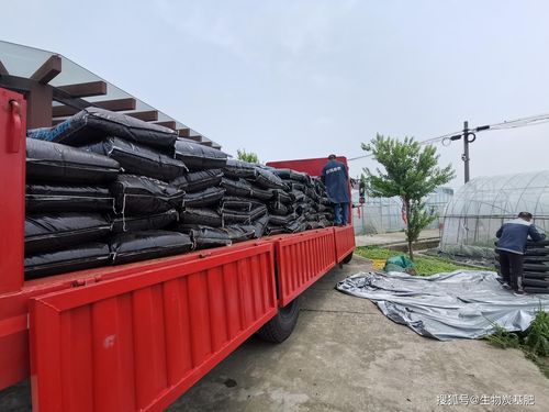 seek生物炭基肥助力國家重點研發(fā)計劃項目實施