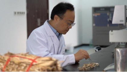 秸稈變地膜?生物基材料迎風口!