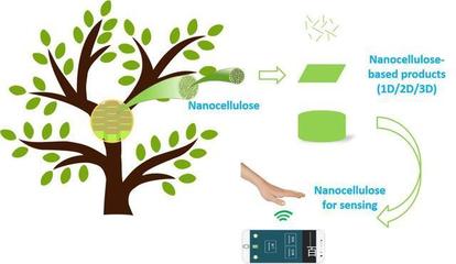 喜訊!陜西科技大學(xué)科研取得重要進(jìn)展,在國際頂級(jí)期刊發(fā)表論文!
