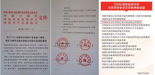 我院喜獲2020 河南省中小學中醫(yī)藥研學示范基地