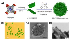過程工程所等在自組裝生物分子材料研究上獲進展